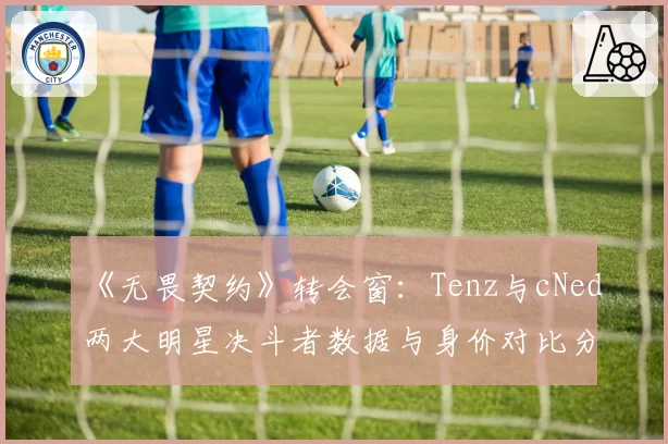 《无畏契约》转会窗：Tenz与cNed两大明星决斗者数据与身价对比分析