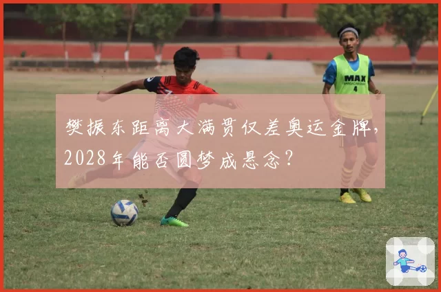 樊振东距离大满贯仅差奥运金牌，2028年能否圆梦成悬念？