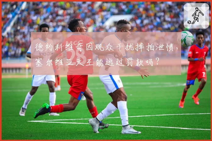 德约科维奇因观众干扰摔拍泄愤，塞尔维亚天王能逃过罚款吗？