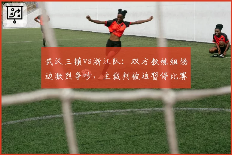 武汉三镇vs浙江队：双方教练组场边激烈争吵，主裁判被迫暂停比赛
